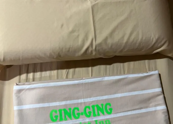 Ging-ging Tourist Badian